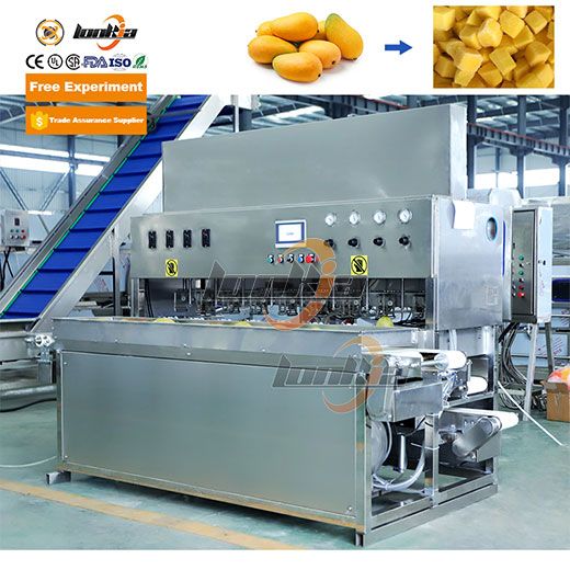 Frozen Mango Processing Line