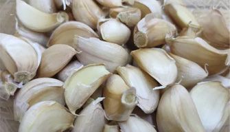 Garlic