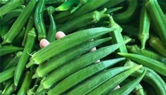 Okra