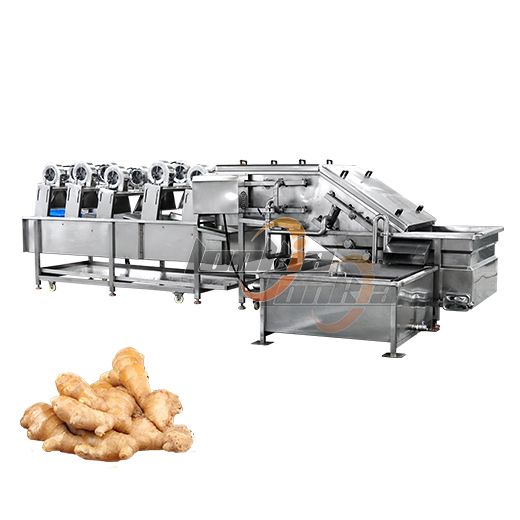 Ginger Spray Washer