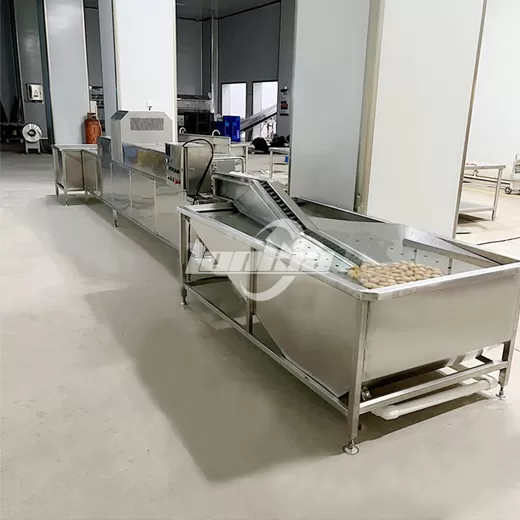 Automatic Egg Washing Line
