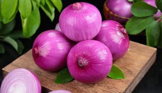 Onion