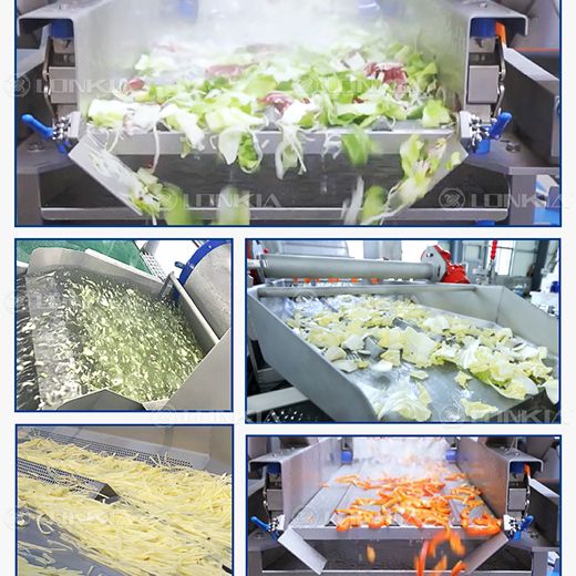 Salad Washing & Drying Line