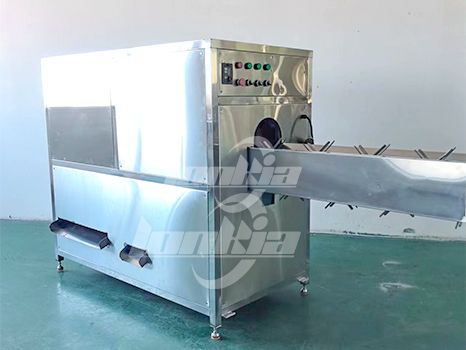 Peeled Onion Cutting Processing Line