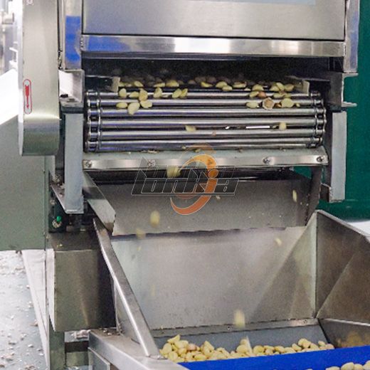 Garlic Peeling Machine