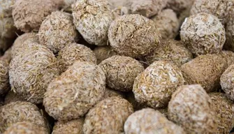 Preserved Eggs