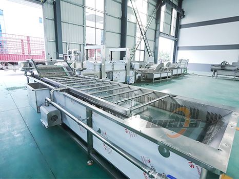 Fully Automatic Carrot Processing Line