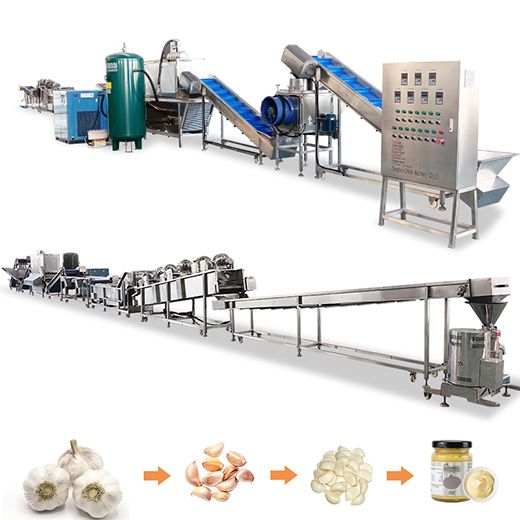 Garlic Peeling Production Line