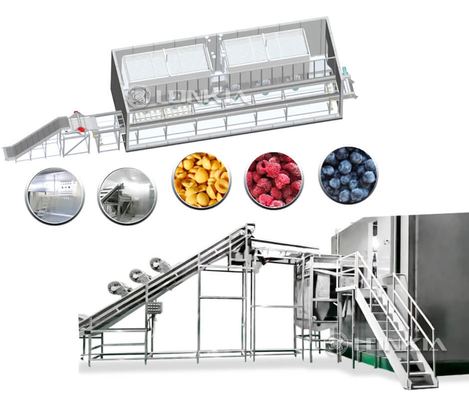 Frozen Fruit Processin Solution