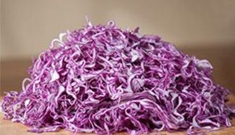 Purple Cabbage