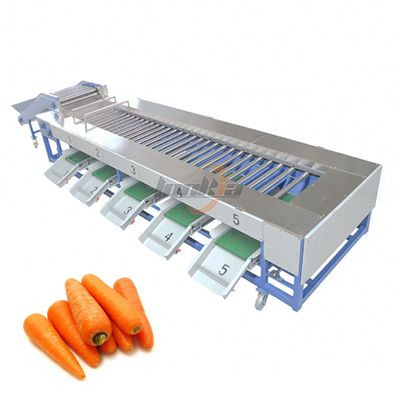 Carrot Grading Machine