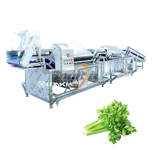 Leaf Vegetables Non Destructive Washer
