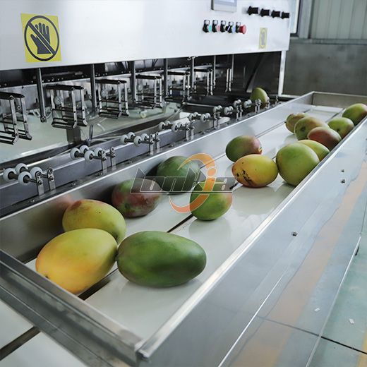 Mango Peeling Machine