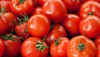 Tomato