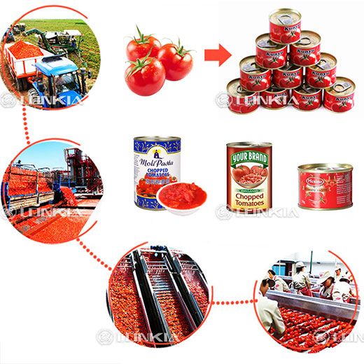 Tomato Canning Production Line