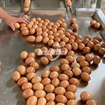 Egg Collection Platform