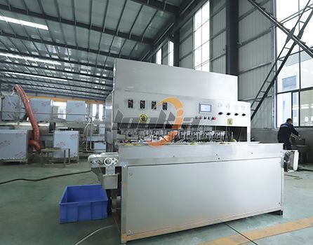 Fruit Peeling Machine