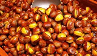 Chestnut