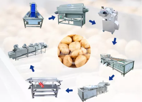 Automated Potato Peeling Cutting Blanching Line