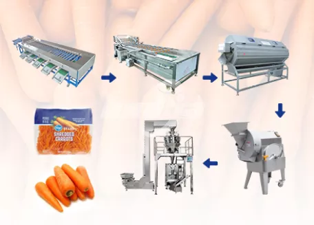 Fully Automatic Carrot Processing Line