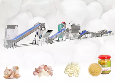 Garlic Peeling Production Line