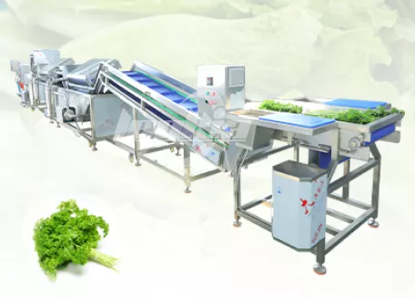 Parsley Washing Line