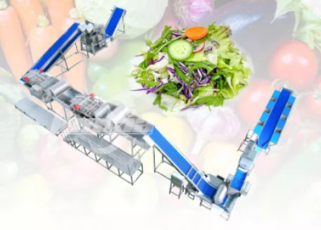 Vegetable Salad Washing Cutting Drying Line