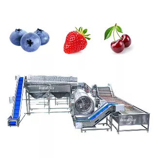 Blueberry Destemming and Washing Line