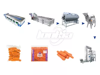 Carrot Processing Line