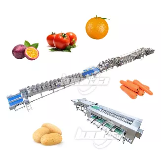 Fruit and Vegetable Processing Line