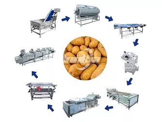 Potato Blanching Line