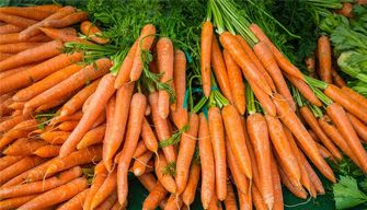 Carrot