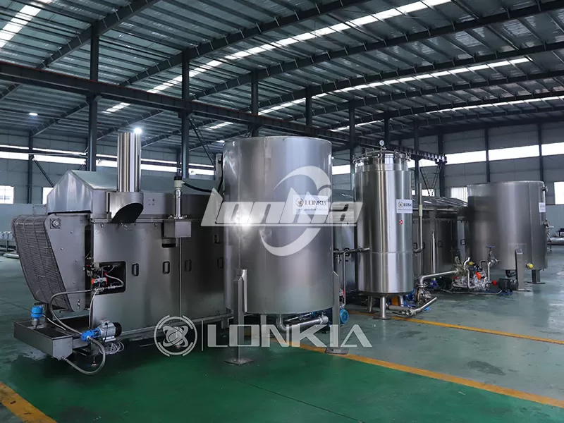 How to Choose the Right French Fries Deep Fryer Machine for Your Production Capacity?
