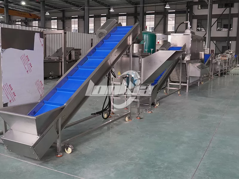 lonkia garlic peeling line