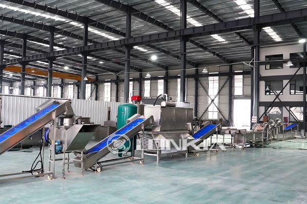 What equipment does the garlic processing line have?