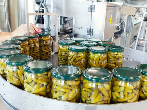 Cucumber Canning Production Line
