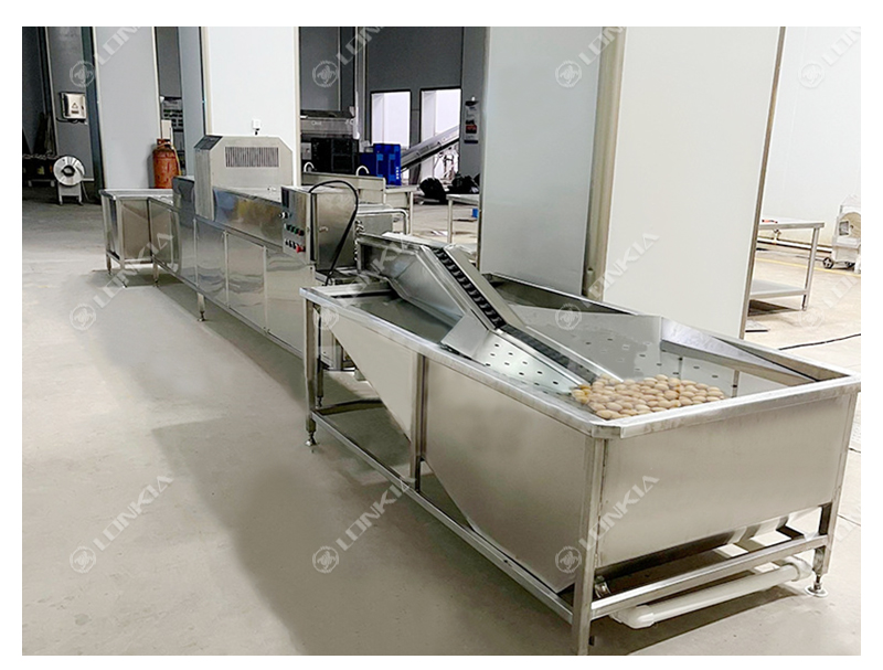 Egg Washing Line