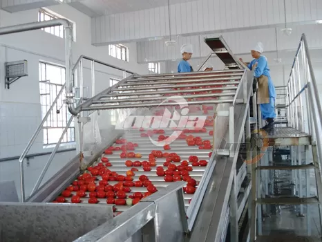 Industrial Tomato Processing Equipment
