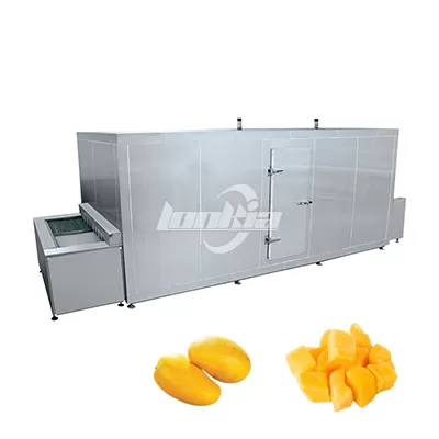 IQF Freezing Machine