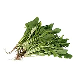 Arugula