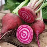 Beetroot