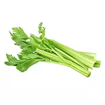 Celery