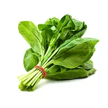 Spinach