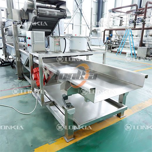 Potato Chips Frying Machine