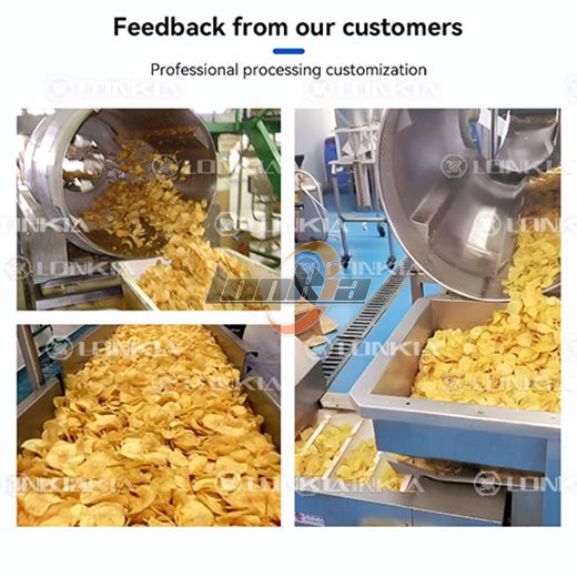Potato Chips Frying Machine
