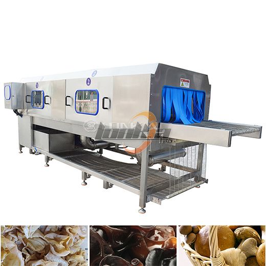 Fruit Vegetable Tunnel Washer