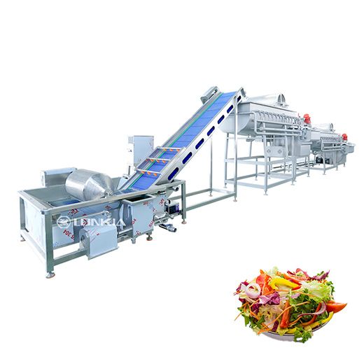 Salad Washing & Drying Line