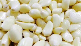 Garlic