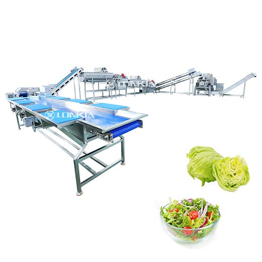 Salad Washing & Drying Line