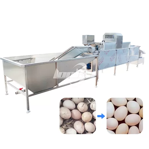 Automatic Egg Washing Line